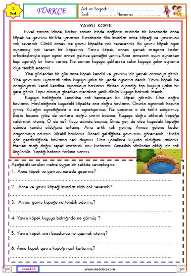 3. Sınıf Türkçe Okuma ve Anlama Metni Etkinliği (Yavru Köpek)